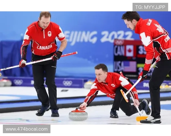 2026年冰壶比赛：全球顶尖选手的巅峰对决与精彩瞬间